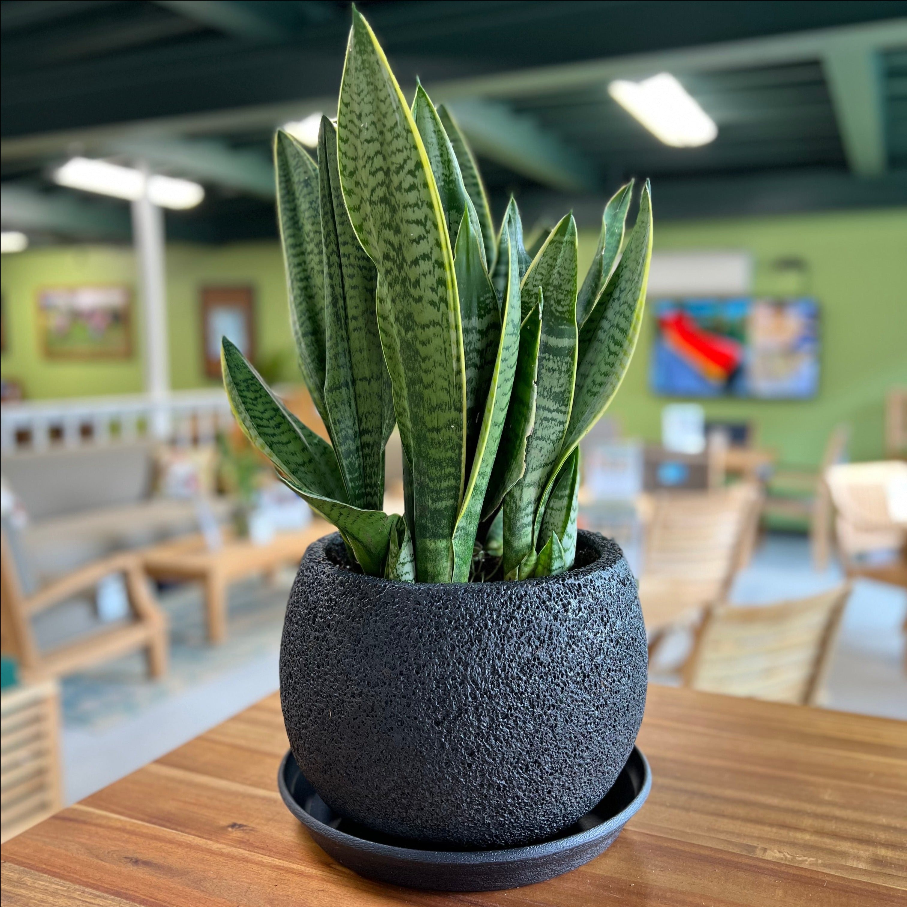 VT43ABCD - GLOBE FOAM LITE & CONCRETE PLANTER (6592789217409)