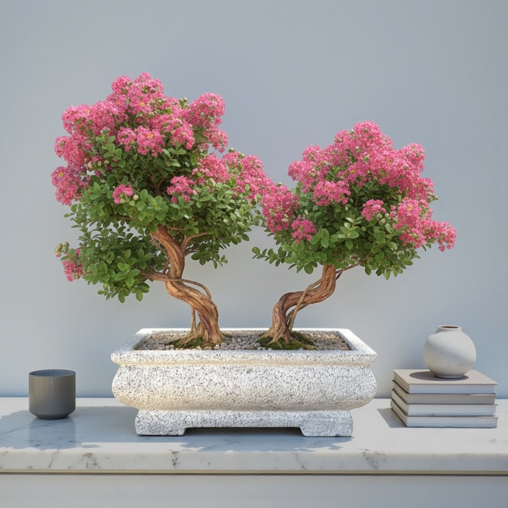 bonsai tree planters Yama Rectangular Bonsai Planter – Hawaiian Discovery Furniture