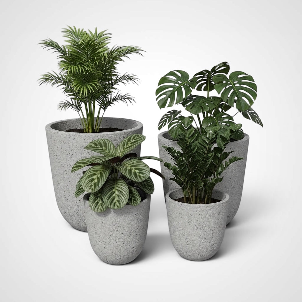 TRIBECA FOAM LITE & CONCRETE PLANTER – Hawaiian Discovery Furniture