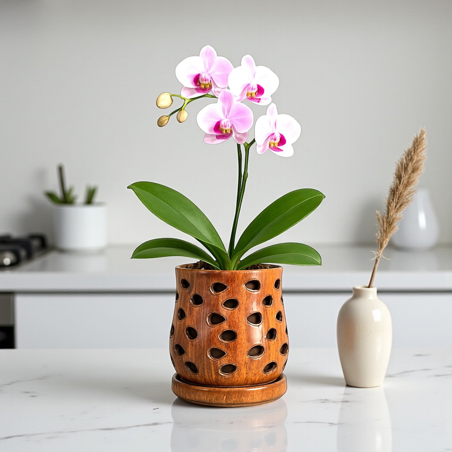 Puka Orchid Pot – Hawaiian Discovery Furniture