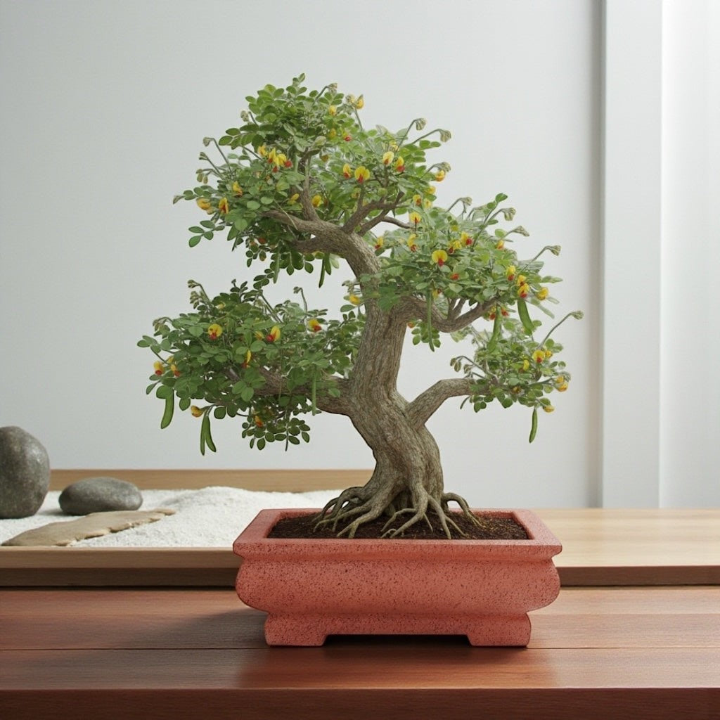 Hawaiian Discovery Furniture rectangular concrete and foam bonsai planter holding a flowering bonsai tree on a table.